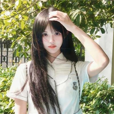 情寻猫脚印